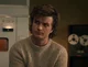 Steve Harrington 