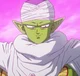 PICCOLO
