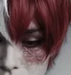 Shoto Todoroki 