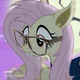 Flutterbat