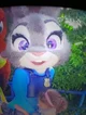 Judy