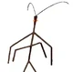 Stick Bug