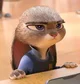 Judy TGTF