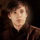 Peter Pevensie
