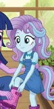 Flurry heart 