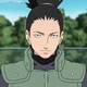 Shikamaru Nara