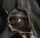 Konig