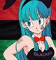 QoS Bulma Briefs