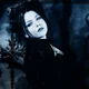 Amy Lee 
