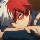 Shoto Todoroki 