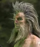 Beorn