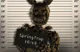 J-Gems Springtrap