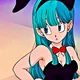 Bulma Briefs