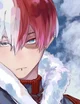 Shoto Todoroki 
