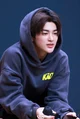 ahn keonho