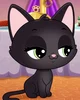 Jade Catkin