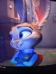 Judy