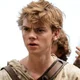 Newt - TMR