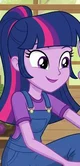 Princess twilight 