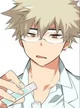 PreMed Bakugou