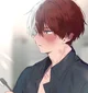 Shoto Todoroki 