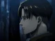 Levi Ackerman 