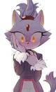 Blaze The Cat