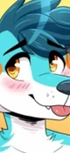 UwU furry parasite
