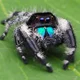 Jumping Spider