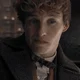 Newton Scamander 