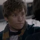 Newton Scamander 