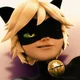Chat Noir