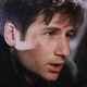 TXF Fox Mulder