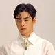 Cha eun woo 