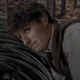 Newton Scamander