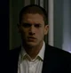 Michael Scofield 