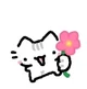 Flower cat
