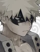 Katsuki Bakugou 