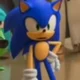 Sonic the hedgehog