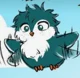 Deku parrot