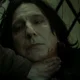 Snape 