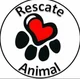 Rescate animal 