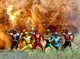 Ninja Storm Rangers