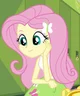 Fluttershy 
