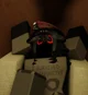 CatJammi