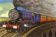 Gordon 