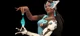 Symmetra 