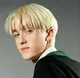 Draco