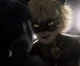 Cat Noir