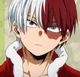 Shoto Todoroki 